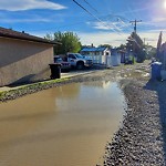 Backlane Maintenance at 803 20 A Ave NE Winston Heights Mountview