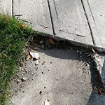 Sidewalk or Curb - Repair at 58 Hamptons Gv NW