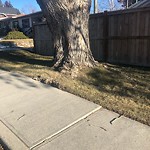 Sidewalk or Curb - Repair at 2040 Briar Cr NW