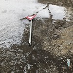 Road Signs on Street, Lane, Sidewalk - Repair or Replace at 17820 52 St SE