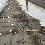 Sidewalk or Curb - Repair at 521 16 Av NE