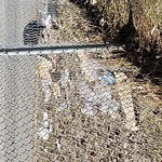 In a Park - Litter Pick Up or Overflowing Park Bins at Mc Knight Blvd NE Calgary Division No. 6
