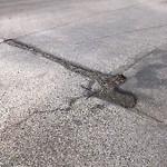 Pothole Repair at 11219 Braeside Dr SW