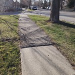 Sidewalk or Curb - Repair at 1140 Berkley Dr NW