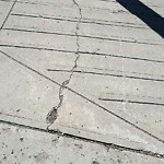 Sidewalk or Curb - Repair at 1120 Centre St NE