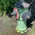 Fire Hydrant Concerns at 45 Chinook Dr SW