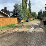 Backlane Maintenance at 223 Oakside Cir SW Oakridge