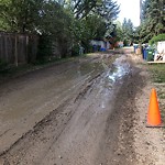 Backlane Maintenance at 32 Chinook Dr SW