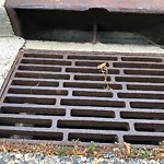 Catch Basin / Storm Drain Concerns at 781 Sandringham Pl NW