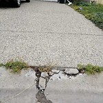 Sidewalk or Curb - Repair at 205 Sirocco Pl SW