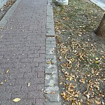 Sidewalk or Curb - Repair at 1001 3 Av NW