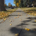 Sidewalk or Curb - Repair at 4756 Rundlehorn Dr NE