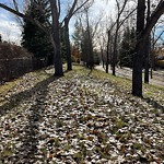 Shrubs, Flowers, Leaves Maintenance in a Park-WAM at 310 Dalgleish Ba NW
