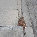 Sidewalk or Curb - Repair at 1040 Bow Valley Dr NE