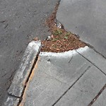 Sidewalk or Curb - Repair at 1014 Bow Valley Dr NE