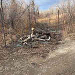 Shrubs, Flowers, Leaves Maintenance in a Park-WAM at 123 Riverside Wy SE