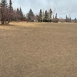 Shrubs, Flowers, Leaves Maintenance in a Park-WAM at 4815 14 A St SW