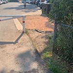 Pedestrian and Cycling Pathway - Repair - WAM at 800 12 St NW