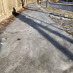 Catch Basin / Storm Drain Concerns at 78 Mahogany Gr SE