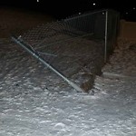 Fence Concern in a Park-WAM at 109 Strathearn Gd SW