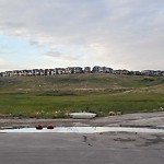 In a Park - Litter Pick Up or Overflowing Park Bins-WAM at 220 Sage Meadows Park NW Sage Hill