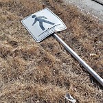 Sign on Street, Lane, Sidewalk - Repair or Replace at 5107 Shaganappi Tr NW