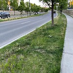 Mowing - Residential Roadway - up to 50km/h at 482 Mahogany Tc SE