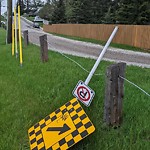 Sign on Street, Lane, Sidewalk - Repair or Replace at 1614 16 St NE