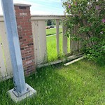 Fence or Structure Concern - City Property at 204 Signal Hill Ci SW