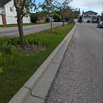 Mowing - Residential Boulevard up to 50km/h at 208 Citadel Mr NW