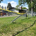 Fence in/around a Park - Repair at 223 Lake Rosen Cr SE