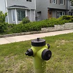 Fire Hydrant Concerns at 221 Taradale Dr NE