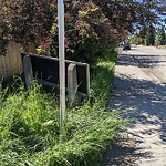 Mowing - Residential Roadway - up to 50km/h at 13907 Evergreen St SW