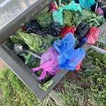 Garbage in a Park at 2035 30 St SW
