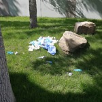Garbage in a Park at 1523 20 St NW Hounsfield Heights/Briar Hill
