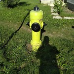 Fire Hydrant Concerns at 186 Whitefield Dr NE