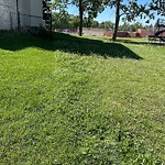 Mowing in a Park at 275 Dalhurst Wy NW
