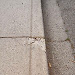 Sidewalk or Curb - Repair at 2340 26 Av NW