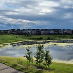 Catch Basin Concerns at Cityscape Heath NE Skyview Ranch Calgary