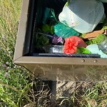 Garbage in a Park at 1514 Glenmore Hill Rd SW