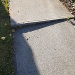 Sidewalk or Curb Repair at 420 3 St NE