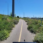 Shared Pedestrian and Cycling Path - Repair at 825 32 Av NE