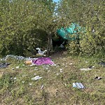 Garbage in a Park at 1920 Pumphouse Rd SW