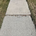 Sidewalk or Curb Repair at 4103 37 St SW