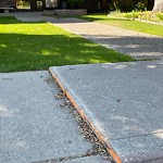 Sidewalk or Curb Repair at 2328 6 Av NW