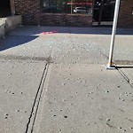Debris - Street, Sidewalk, Boulevard at 820 5 Av SW