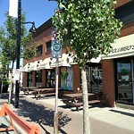Tree Maintenance - City Owned at 1305 9 Av SE