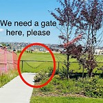 Fence Concern in a Park at 73 Evanscrest Gd NW