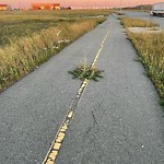 Pedestrian and Cycling Pathway - Repair at 6335 57 St SE