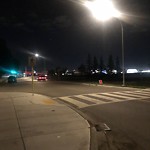 Coyote Sightings and Concerns at 7112 34 Av NW